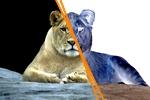 www.arroun.vip-blog.com